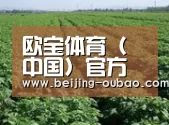 种植基地五