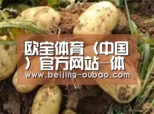 产品展示标题2