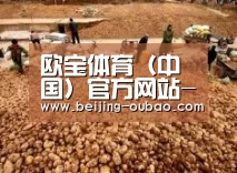 种植基地二